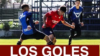 ¡TODOS LOS GOLES DEL CHIVAS VA CELAYA RESUMEN PARTIDO PRETEMPORADA  UN DOBLETE [upl. by Aicilihp558]