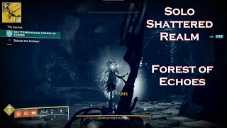 Solo Shattered Realm Forest of Echoes Blind Run [upl. by Narmak]