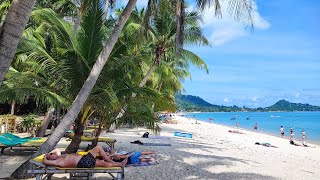 Walking Tour of LAMAI Beach In Koh Samui 2023 [upl. by Alver]