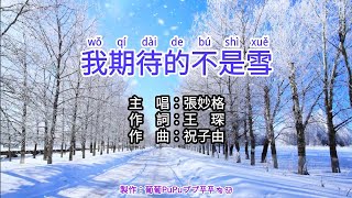 【KTV左伴右唱 動態導唱字幕 カラオケ歌詞 노래방 가사 Karaoke Lyrics】我期待的不是雪張妙格 [upl. by Clarisa]