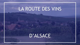 La Route des Vins dAlsace  Reportage Histoire amp Patrimoine [upl. by Hodgkinson]