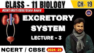 EXCRETORY SYSTEM I LECTURE  3 I BIOLOGY I CLASS 11 I NCERTNEETCBSEState Board [upl. by Kowalski]