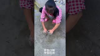 I like to touch the turtle when I have nothing to do 我一天没事就喜欢摸甲鱼 Xiaomei fishingfun fishinglife [upl. by Einomrah]