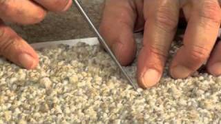 TCS  How to Repair Pulled Tufts in Berber Carpet [upl. by Auohp]