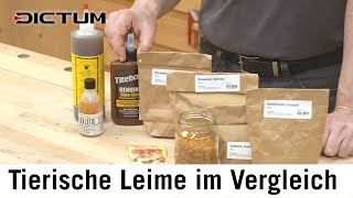 Tierische Leime  Knochenleim Hautleim Fischleim  flüssige Leime vs Granulate dictum [upl. by Cybil616]