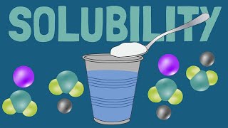 Solubility  Definition  Expression  Solute Solvent Interaction  Physical Pharmacy  BP302  L1 [upl. by Arakaj11]