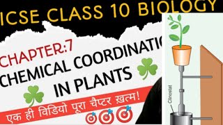 chemical coordination in plants 2 class 10 icse [upl. by Enomys]