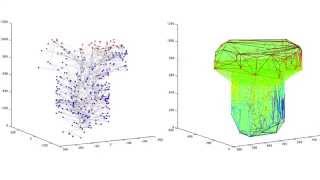 Actin Dynamics and Dendritic Spine Growth [upl. by Akerehs160]