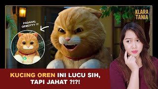 KUCING OREN INI MAU MENGUASAI BUMI   Alur Cerita Film oleh Klara Tania [upl. by Eiramoj994]