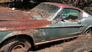 1967 Mustang 390 GT Fastback Barn Find Parked Since 1973 Price Revealed [upl. by Murage]