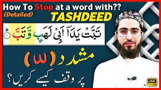 STOP AT A WORD WITH TASHDEED Tashdeed Par Waqf Kaise Karein  Arabic Grammar Series  Qari Aqib [upl. by Llovera]