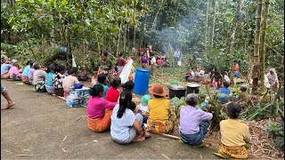 Matada Torro Alla di Bamba Bokko Sangalla Tana Toraja [upl. by Araldo]