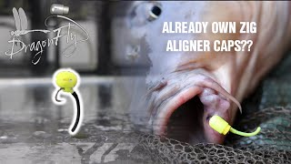 DragonFly Aligner  Zig Aligner Cap  Devastating Popup Corn Rig [upl. by Nnasor]