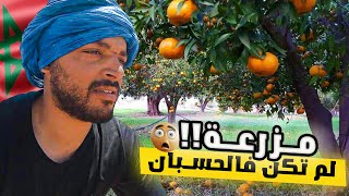 VLOG77  ليلة في مزرعة البرتقال مهجورة بسبب الجفاف [upl. by Jamilla]