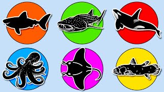 Marine Animals Whale Shark Manta Ray Megalodon Octopus Killer Whale Orca and Coelacanth MN054 [upl. by Eelibuj773]