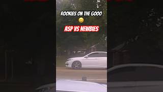 The Great Plumerville Escape Tree vs Honda  Epic Chase Ends in Natures PIT Maneuver [upl. by Ruprecht]