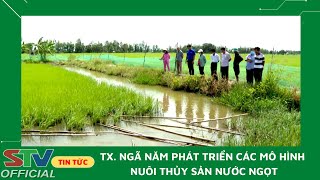 STV  TX Ngã Năm phát triển các mô hình nuôi thủy sản nước ngọt [upl. by Combs456]