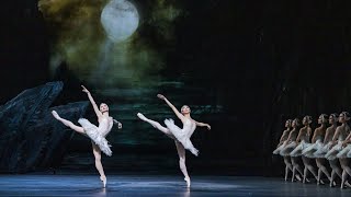 Insights The Royal Ballet in Rehearsal  Swan Lake [upl. by Innoj754]