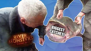 The BIGGEST CATCHES Part 1  COMPILATION  River Monsters [upl. by Notniuq]