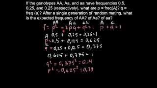 What is expected new allele frequency in F1 generation [upl. by Egiaf750]