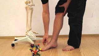 Posture Training 3 The forefoot strike  Natural walking for pain relieve [upl. by Eidde]