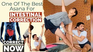 CORRECT YOUR INTESTINAL POSITION  BEST YOGA POSE TRIKONASANA  prashantjyog [upl. by Gretchen982]