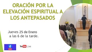 Oración por los Antepasados  Johrei Center Perú  25 de Enero 2024 [upl. by Kedezihclem]