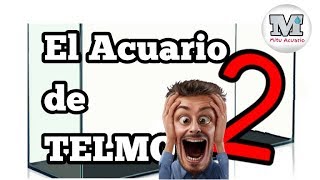 Cómo MONTAR un ACUARIO desde 0 FÁCIL PARTE 2🐟 I MiTu HD I I MiTu HD I [upl. by Giarla566]