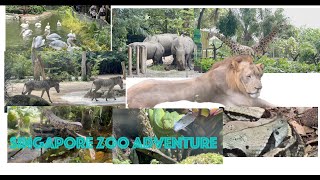 Ep 8  Singapore Zoo Tour Part 1 [upl. by Jillayne]