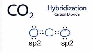 CO2 Hybridization Hybrid Orbitals for CO2 [upl. by Eladnar596]