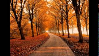 George Winston Autumn  Full Album [upl. by Eerej]