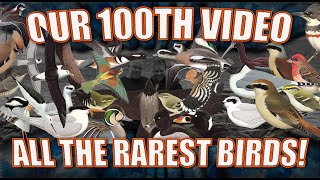 ALL THE UK RARE BIRDS WE HAVE SEEN Our 100th Video [upl. by Ynomrah833]