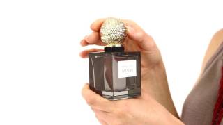 Balmain Ambre Gris Perfume [upl. by Anined75]