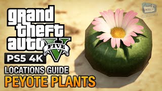 GTA 5 PS5  Peyote Plants Location Guide Play as an Animal [upl. by Frances]