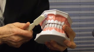 How to Brush Your Teeth With Gum Recession [upl. by Lehcar]