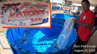 Fitzs Fish Ponds Koi Fest 2024 Documentary [upl. by Anitnamaid120]