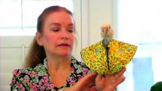 Bird Care  How to Treat a Sick Parrot [upl. by Moorefield]