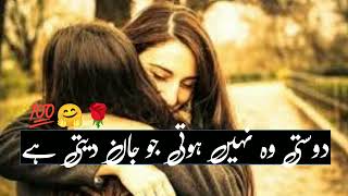 Dosti Shayari  Friendship Shayari 2 line  New Friendship Poetry in Urdu 2022 [upl. by Maria]