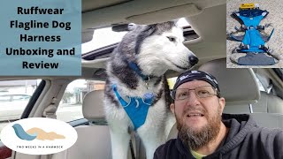 Ruffwear Flagline Dog Harness Unboxing and Review [upl. by Tann]