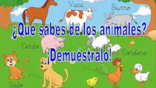 LOS ANIMALES  APRENDE Y DIVIÉRTETE CON JOSEFINA [upl. by Nichols271]