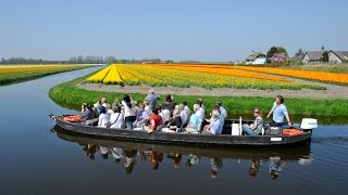 Keukenhof Gardens [upl. by Ahc]