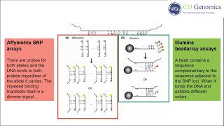 SNP Genotyping Technologies [upl. by Ahseki]