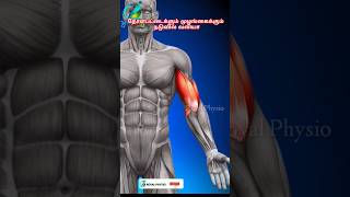 biceps pain relief exercises  bicep injury recovery exercises  sore upper arm muscles treatment [upl. by Llebiram]