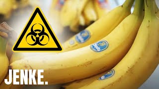 GiftBananen Krebserregende Pestizide gefährden Menschen  JENKE DAS FOODEXPERIMENT [upl. by Aynotel]