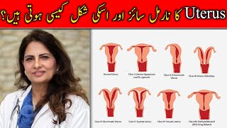 What is Normal Shape and Size of Uterus Explained by Dr Naheed Rana [upl. by Meikah]