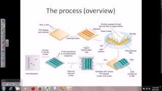 Southern blot [upl. by Sansen]