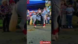 Hipica 2024🤩 shorts shortvideo caballos horse hipica video ganado fails funny fypシ゚ pre [upl. by Nottage385]