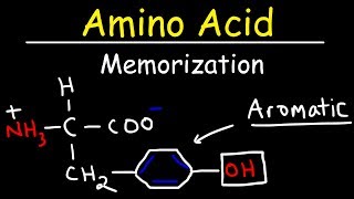 Memorize The 20 Amino Acids  The Easy Way [upl. by Adnaluy565]