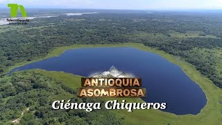 Antioquia Asombrosa Ciénaga Chiqueros  Teleantioquia [upl. by Eiramrefinnej610]