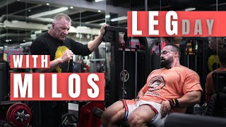 Heavy LEG day with Milos Sarcev  Behrouz Tabani Before Dubai Pro stage olympia bodybuilding [upl. by Eetnahs]